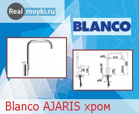   Blanco Ajaris 