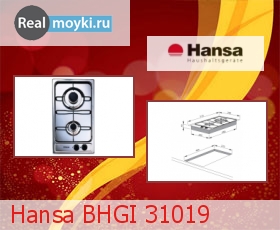 Hansa Bhgi 31019  -  9