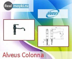   Alveus Colonna