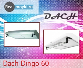   Dach Dingo 60