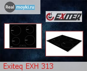   Exiteq EXH 313