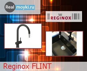   Reginox FLINT