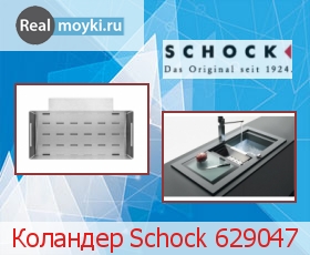  Schock 629047