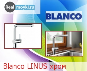   Blanco Linus 