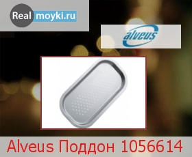  Alveus  1056614