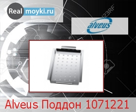  Alveus  1071221