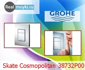 ����������� ��� �������� Grohe Skate Cosmopolitan 38732P00