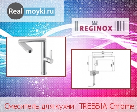   Reginox TREBBIA Chrome