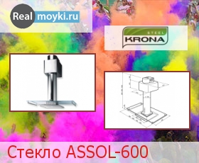    ASSOL-600