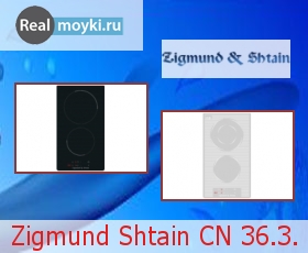   Zigmund Shtain CN 36.3.