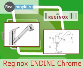   Reginox ENDINE Chrome