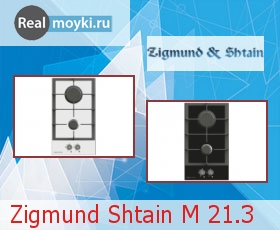   Zigmund Shtain M 21.3