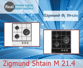   Zigmund Shtain M 21.4