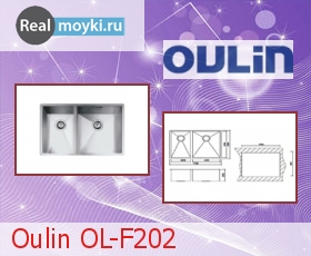 Кухонная мойка Oulin OL-F202