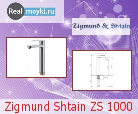   Zigmund Shtain ZS 1000
